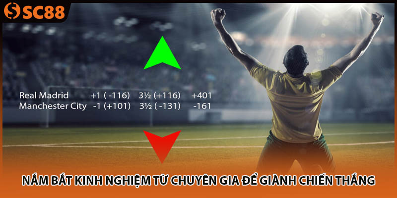 Nắm bắt kinh nghiệm từ chuyên gia để giành chiến thắng