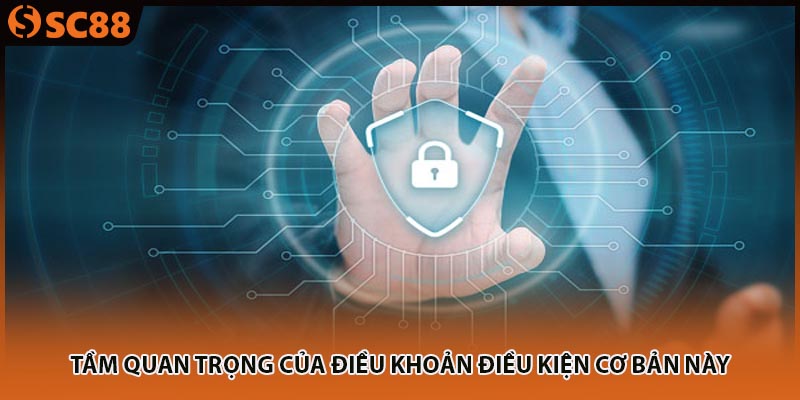 Tầm quan trọng của điều khoản điều kiện cơ bản này